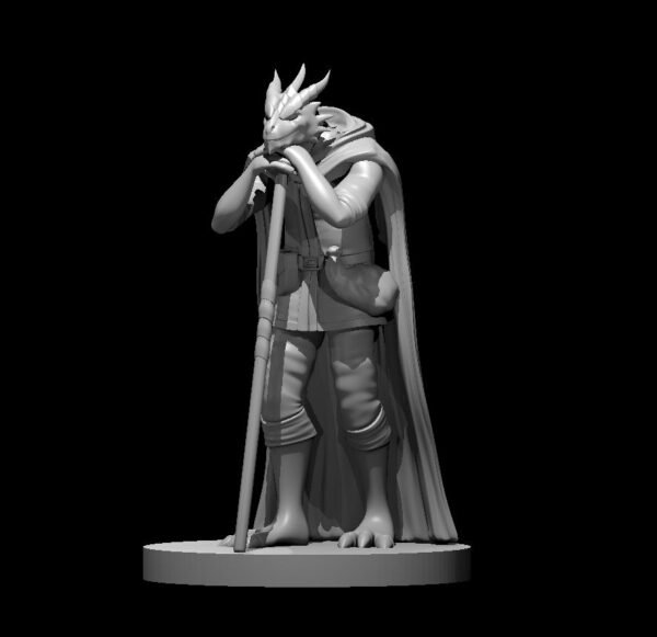 Druid - Image 3