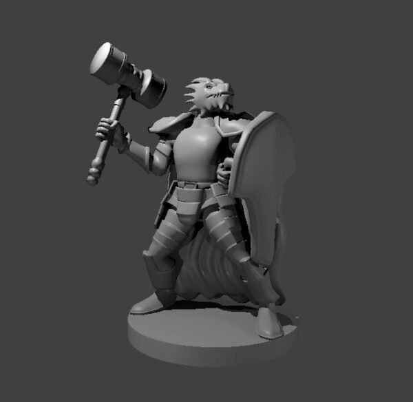 Fighter - Image 3