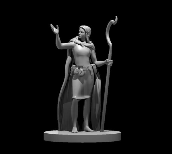 Druid - Image 30