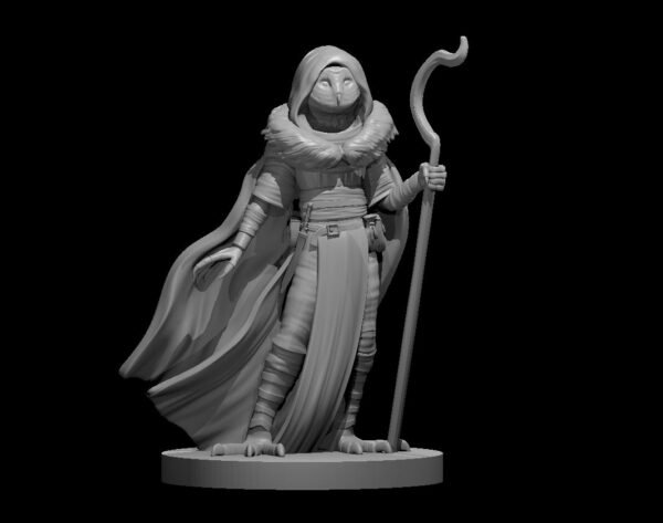 Druid - Image 36