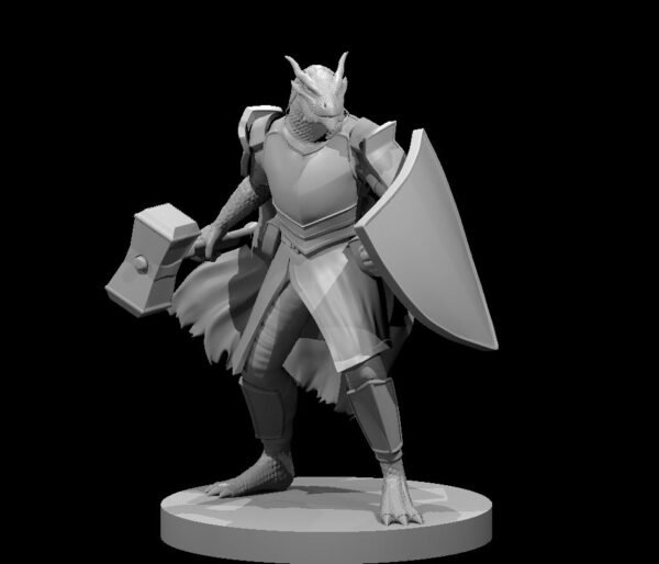 Paladin - Image 4