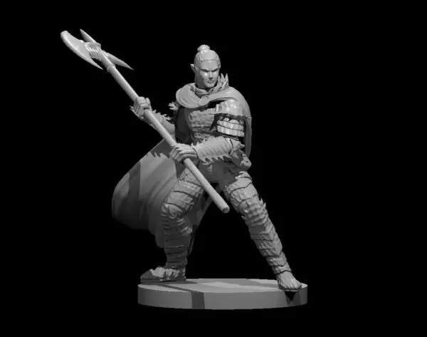 Paladin - Image 9