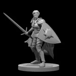 Paladin