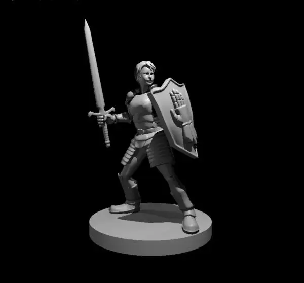 Paladin - Image 25