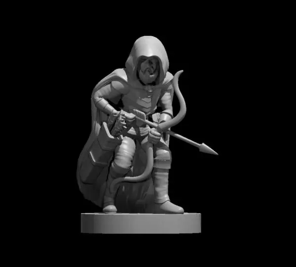 Ranger - Image 20