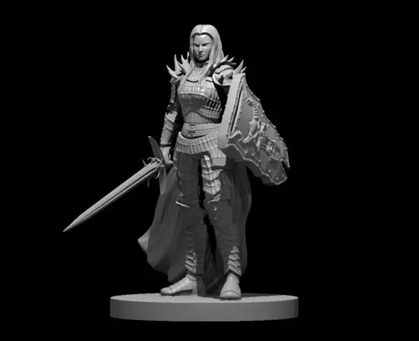Paladin - Image 28