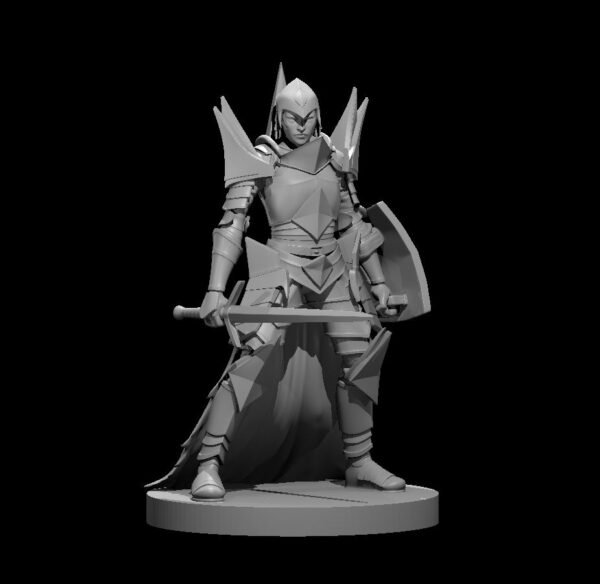 Paladin - Image 29