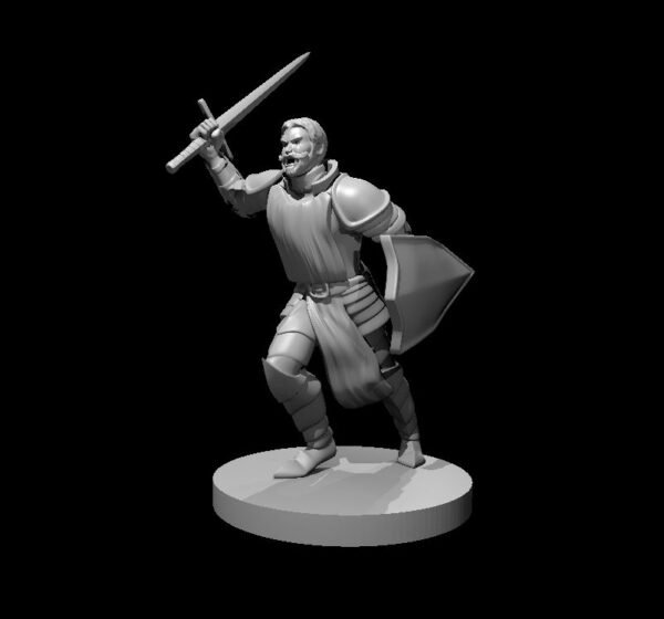 Paladin - Image 41